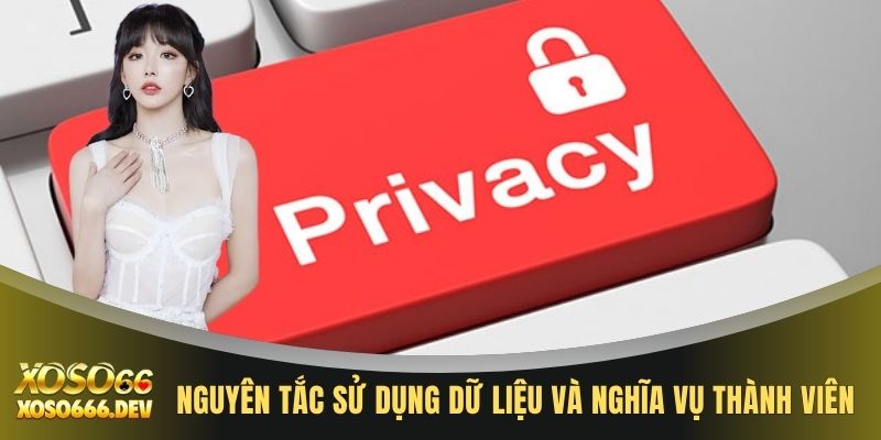 Quyền riêng tư XOSO66 3 Nguyên tắc sử dụng dữ liệu và nghĩa vụ thành viên